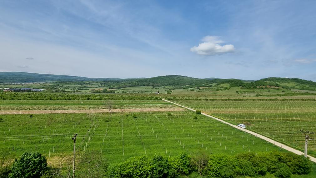 Predaj je dočasne pozastavený.