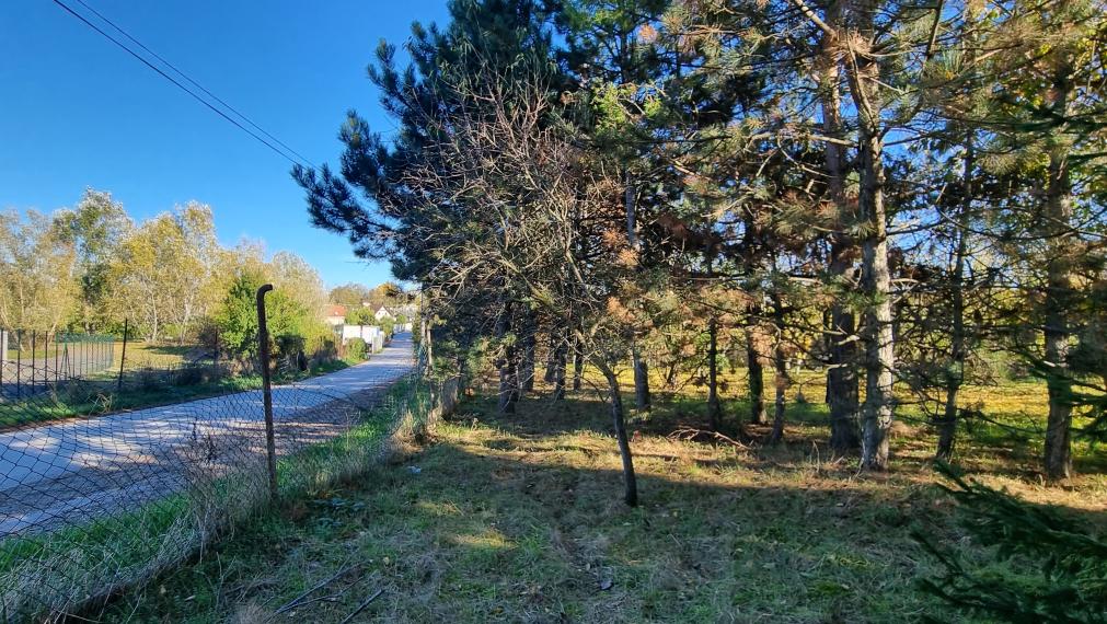 Predaj,rekreačný pozemok na okraji obce, výhodná investícia.