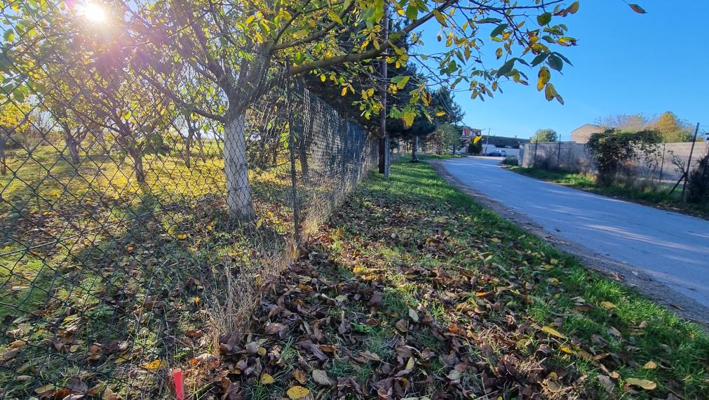 Predaj,rekreačný pozemok na okraji obce, výhodná investícia.