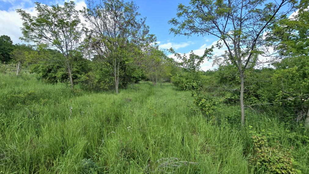 Na predaj pozemok pod lesom s krásnym výhľadom na Modru