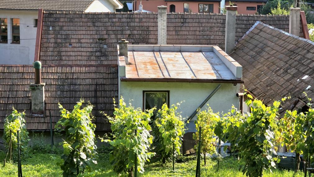 Pod hradom na predaj RD vhodný aj na malé hospodárstvo.