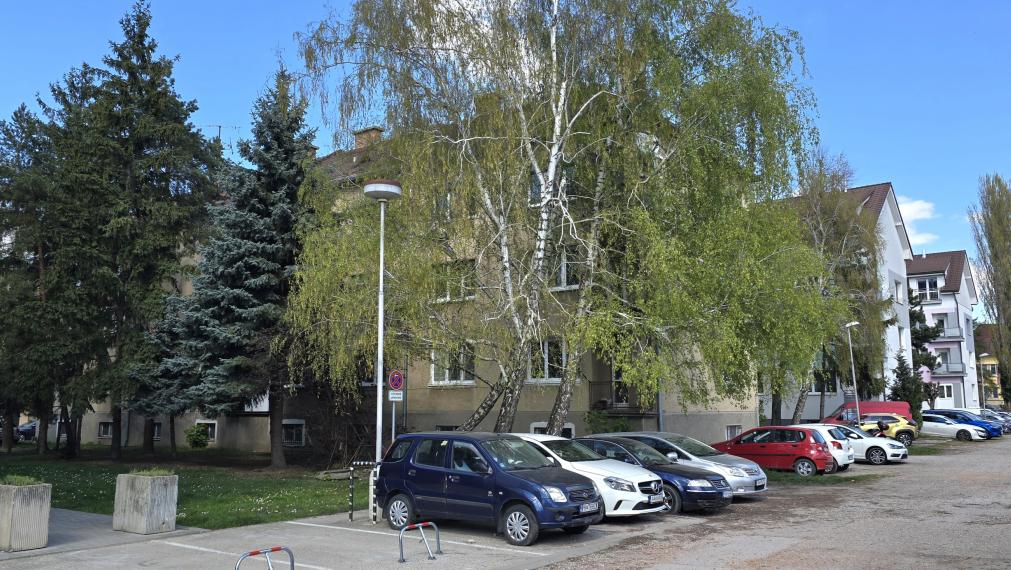 3izbový tehlový byt v centre Pk, v zeleni, vlastné kúrenie