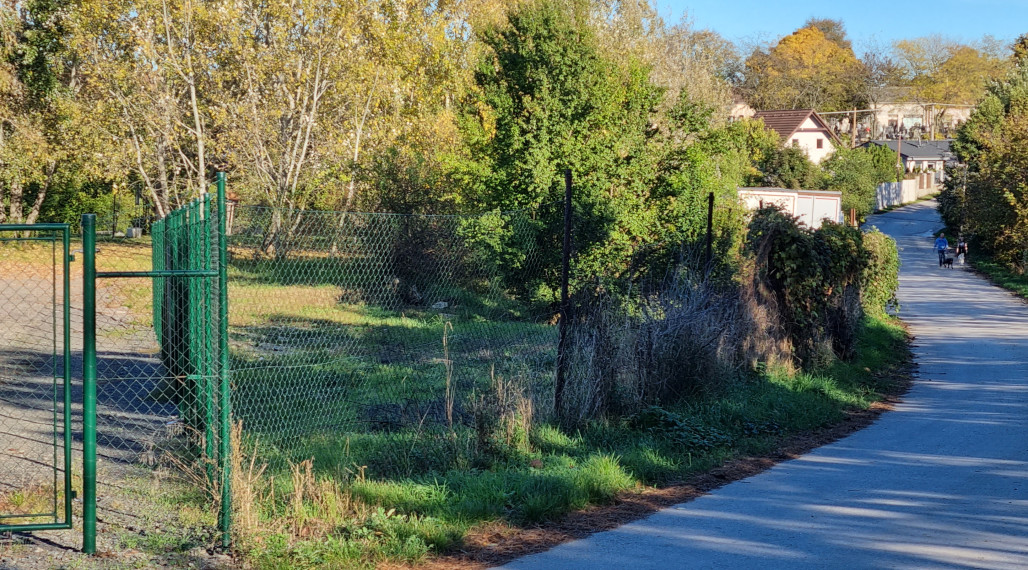 Na predaj rovinatý pozemok na okraji obce, dobrý prístup.