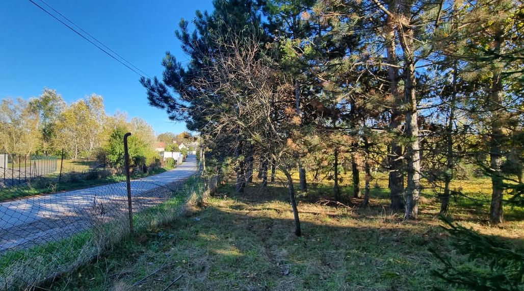 Predaj,rekreačný pozemok na okraji obce, výhodná investícia.