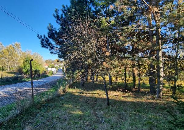 Predaj,rekreačný pozemok na okraji obce, výhodná investícia.